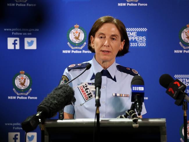 Deputy Police Commissioner Cath Burn speaks to the media yesterday / Picture: Jane Dempster