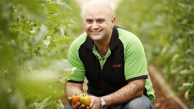 Farmers in focus: Virginia grower Ilia Antonas with produce grown in a glass house. Picture: Bianca De Marchi