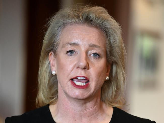 Senate inquiry chair Nationals MP Bridget McKenzie. Picture: NCA NewsWire/John Gass