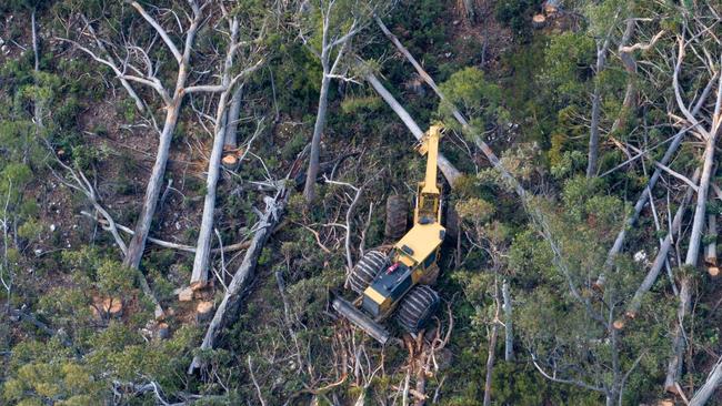 Logging activity at Eastern Tiers Forest Reserve. Picture: Rob Blakers