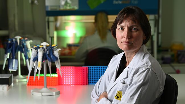 Scientist Dr Kirsty Wright at a laboratory in Brisbane, QLD. Picture: Lyndon Mechielsen / The Australian