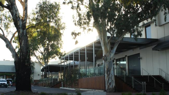 Large gum trees at Burnside Village. Picture: Eugene Boisvert