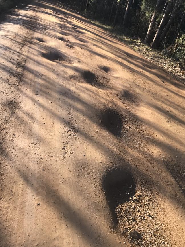 Potholes along Nugent road near Buckland.