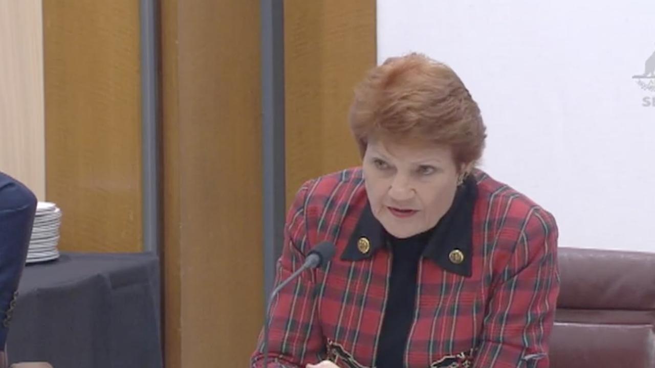 Senator Hanson remains unvaccinated and contracted Covid-19 in May 2022. Picture: ABC / Parliament