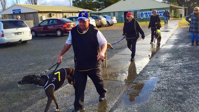 Greyhound trainers and attendants during final preparations for the first race at Maitland today. Picture: Neil Keene