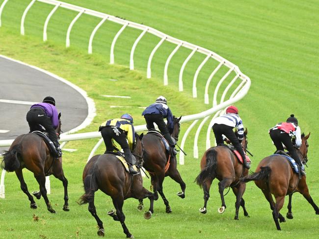 MELBOURNE, AUSTRALIA - FEBRUARY 29: General view of official trials on the new Caulfield Heath track (inside) at Caulfield Racecourse on February 29, 2024 in Melbourne, Australia. (Photo by Vince Caligiuri/Getty Images)