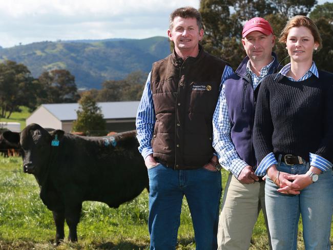 Buyers Craig Schlz and Ayla Ansell from Woorinyan Pastoral Company in Culcairn bought the highest price bull and are pictured with vendor Tom Lawson in the middle. Picture: Andy Rogers