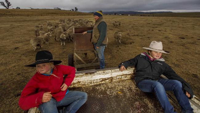 Numbla Vale sheep and cattle farmer Jock Wallace feeds his merinos, ‘assisted’ by daughters Izzy, 8, and Darcy, 10. Picture: Sean Davey