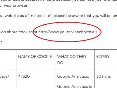 Airline accidentally sends users to a porn site.