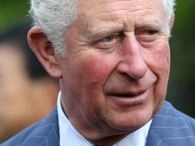 TOKYO, JAPAN - OCTOBER 23: Prince Charles, Prince of Wales attends a reception to celebrate UK - Japan partnerships hosted by British Ambassador Paul Madden at the Ambassadors Residence on October 23, 2019 in Tokyo, Japan.  (Photo by Chris Jackson/Getty Images)