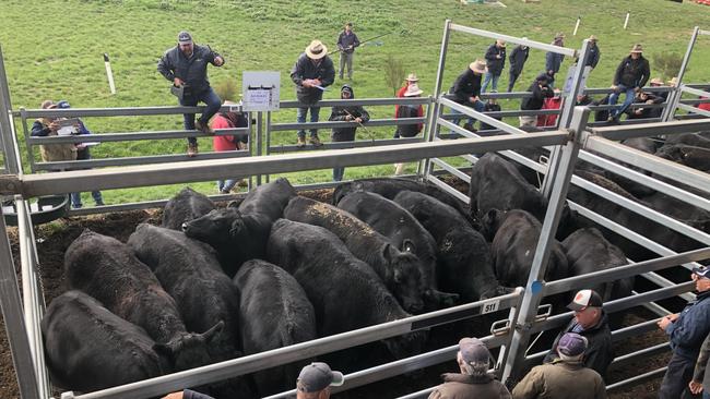 There is an optimistic outlook for cattle prices, AACo chief executive Hugh Killen believes. Picture: Petra Oates.