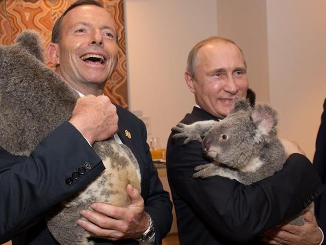 Prime Minister Tony Abbott and Russian President Vladimir Putin cuddle koalas at the G20 summit in Brisbane.