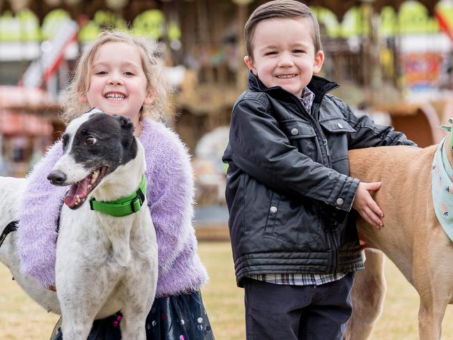 Greyhound Adoption Programme will be at Melbourne show for kids to pat and hopefully be adopted. Clara, 3 and Henry, 4 with greyhounds Nancy and Rocket. Picture: Jake Nowakowski