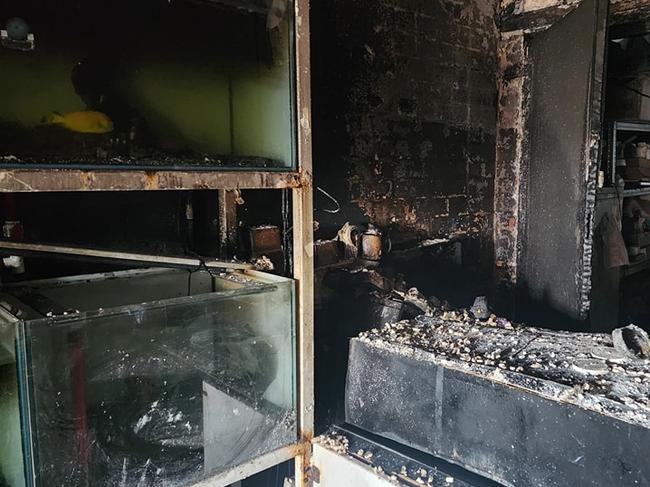 Exotic Aquaculture Australia has permanently shut down after a fire ripped through and destroyed the store. Picture: Exotic Aquaculture Australia