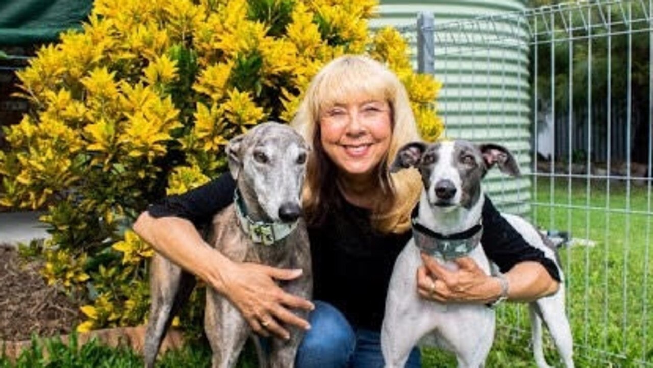 CPG Qld director - Annie Hendley - with rescue greyhounds. Picture: Supplied