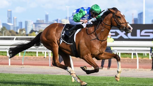 Kerrin McEvoy rides lightly-raced import Grand Promenade for trainer Ciaron Maher and David Eustace. Picture: Getty Images