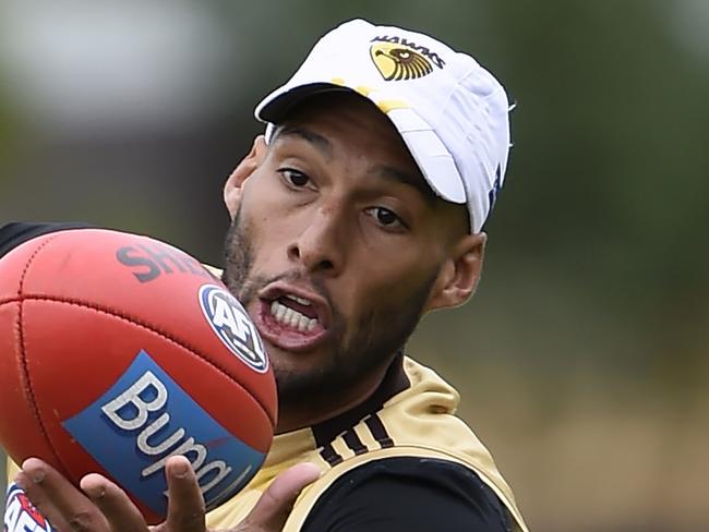 Hawthorn Football Club train at Waverley Park. Josh Gibson. Picture: Andy Brownbill