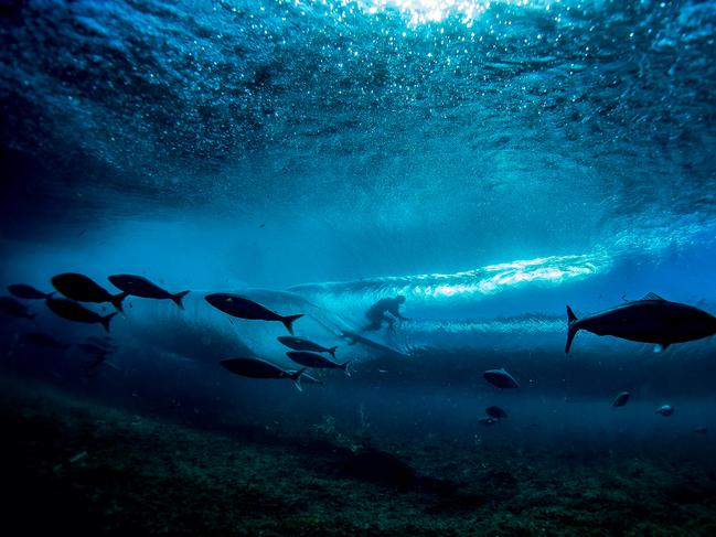 This image is called “Salmon Surfer” and won the People & Nature category. It was taken at Margaret River, Western Australia. Picture: Duncan Macfarlane/TNC Oceania Photo Contest