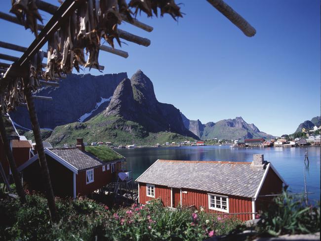 Fish drying near the cottages of Reine, Lofoten Islands, Norway. HURTIGRUTEN