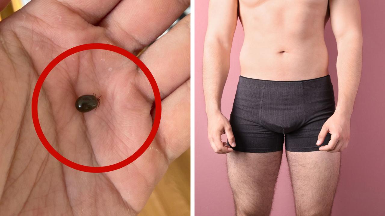 ‘Bloodsucker’: Horror find in bloke’s undies