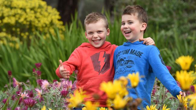 Friends Ben, 4, of Blackwood, and Oscar, 4, of Craigburn Farm, play in Wittunga Botanic Garden. Picture: Roger Wyman