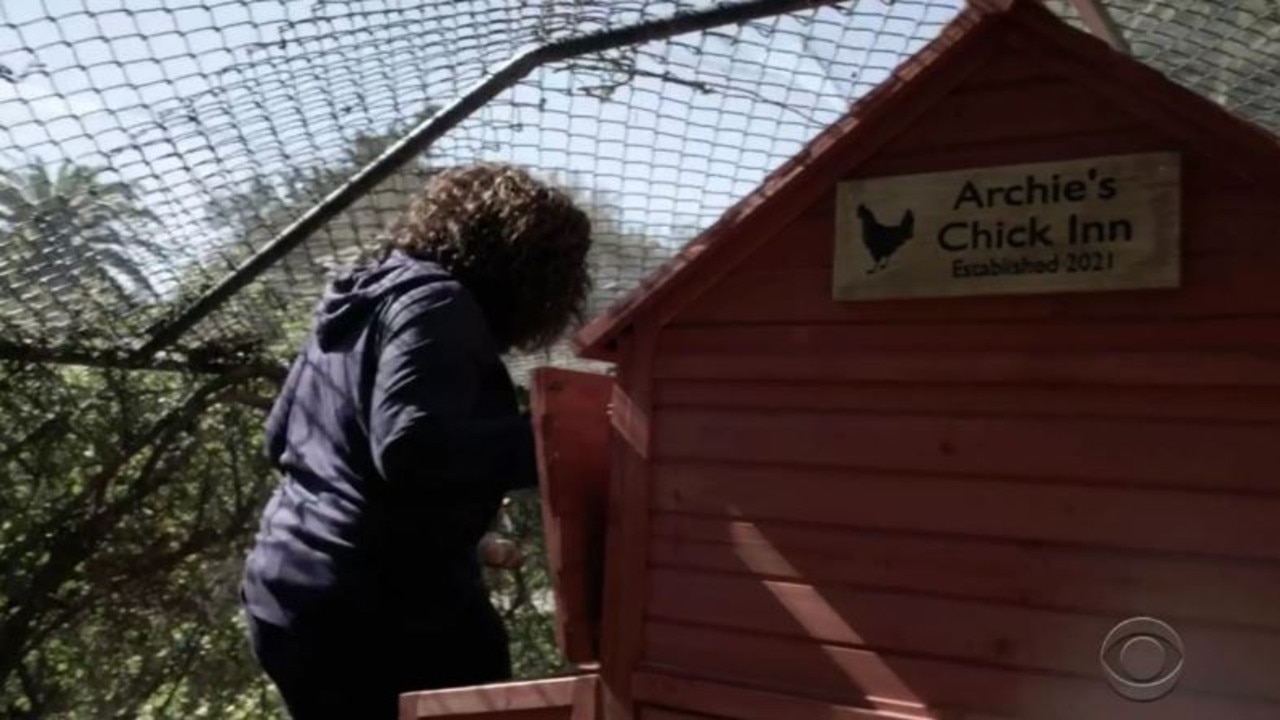 Oprah checked out Markle and Harry's chicken coop.