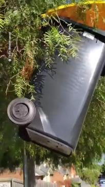 Wheelie Bin Becomes Wedged in Tree