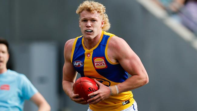 The Eagles young gun was charged by WA Police. (Photo by Dylan Burns/AFL Photos via Getty Images)