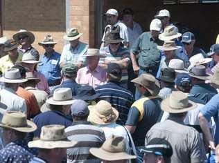 Masses of wide-brimmed hats and their sun-braving owners try their luck at the Wellcamp Downs clearing sale on Saturday. Picture: Nev Madsen