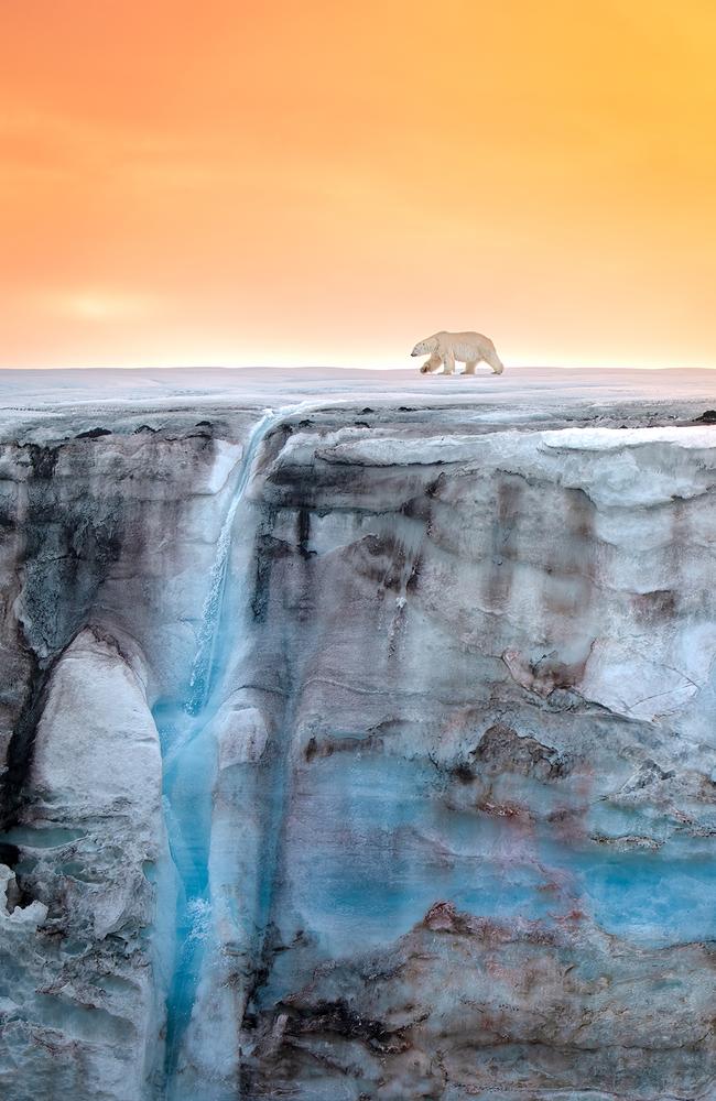 Michael Haluwana: Illuminated* by the Arctic sun, a polar bear walks across a glacier with a waterfall. Arctic