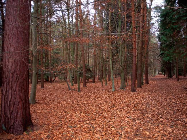 The incident happened in Rendlesham Forest in December 1980. Picture: Supplied