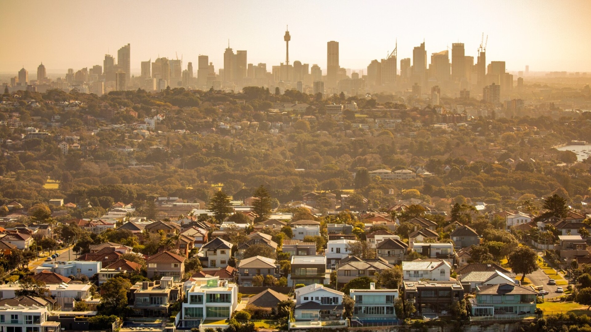 Investor ‘activity’ in the housing market remains ‘strong’