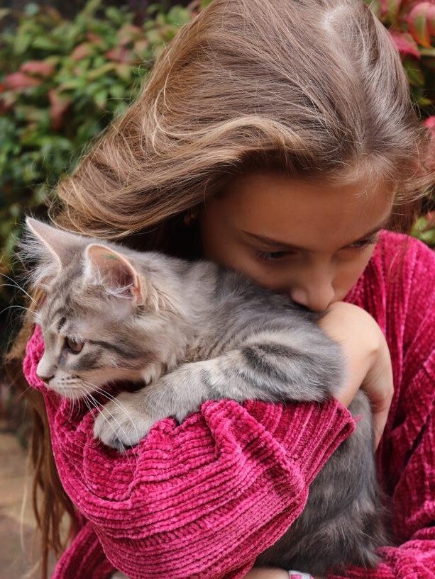 Willow the cat with Sienna.