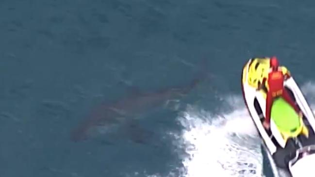 A jet ski is used to move a shark off near the scene of the fatal attack. Picture: 7NEWS