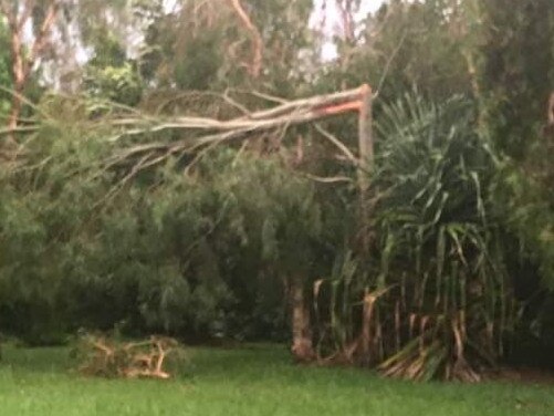 A tree snapped in half at Currimundi.