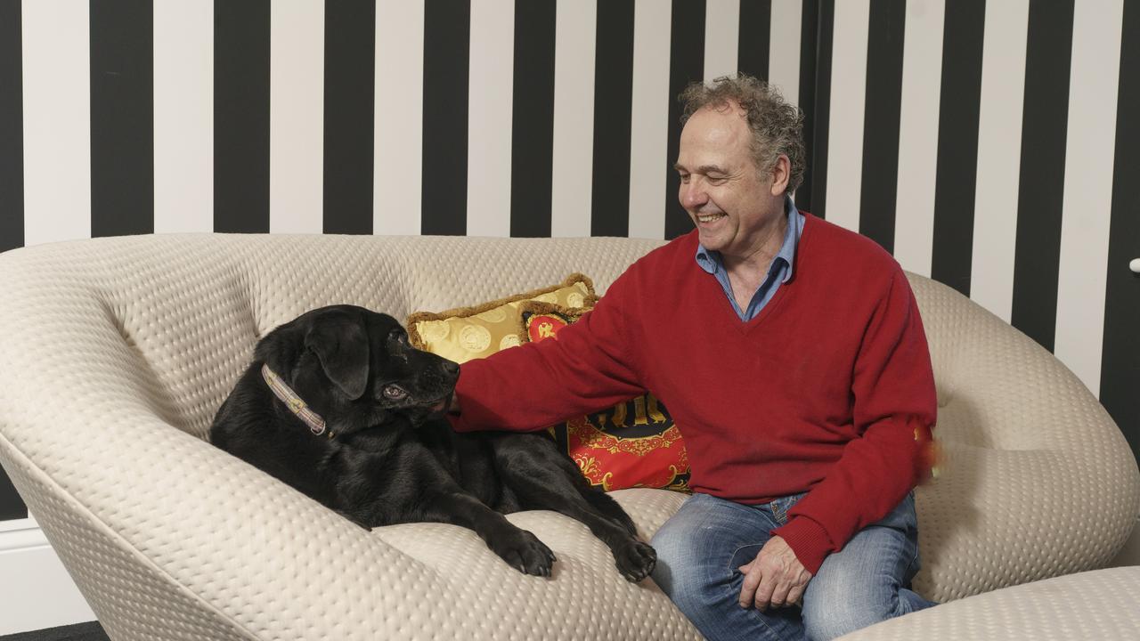 Enzo, a former guide dog, is still getting use to the “other” residents in the home. Picture: Nick Clayton