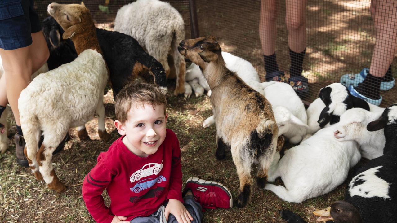 William Cooper with some animal friends in the petting zoo at the Fairholme Spring Fair, Saturday, October 19, 2024. Picture: Kevin Farmer