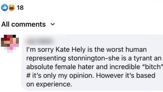 Stonnington mayor Kate Hely was described as a "bitch" and a "tyrant" on her Facebook page. Picture: Supplied.