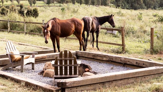 Hillview Stables in Currumbin Valley. Picture: Krista Eppelstun