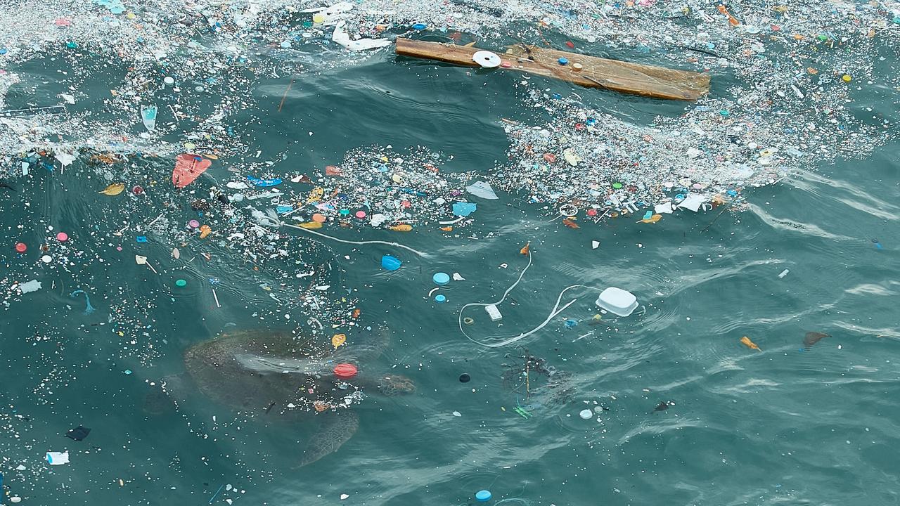 Our oceans are swimming with harmful plastic.