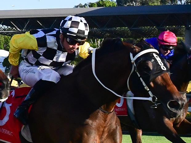 Ballistic Boy (right) holds off So You Win to take out the Mooloolaba Cup at the Sunshine Coast. Picture: Trackside Photography