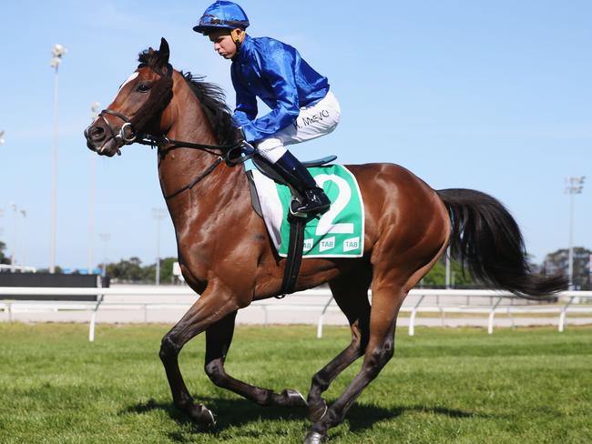 Jockey Kerrin McEvoy aboard Folkswood. (Photo by Michael Dodge/Getty Images)