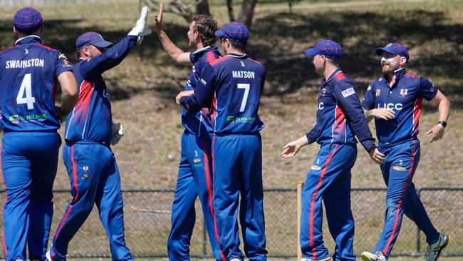 Long Island players celebrate the wicket of Jack Birthisel. Picture: Valeriu Campan