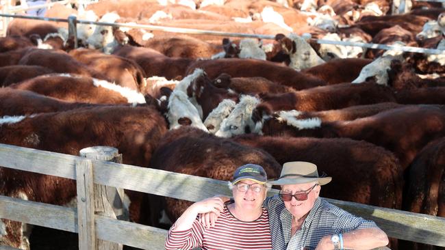 Richard and Anne Faithfull topped the Benambra sale with a pen of Hereford steers selling for $1760 a head. Picture: Yuri Kouzmin