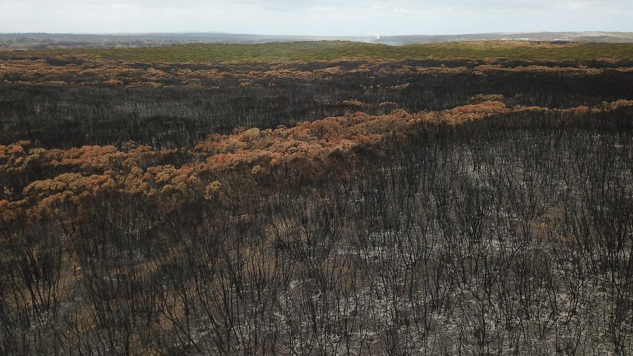 The federal funding will be used to help revive tourism in areas devastated by the summer’s bushfires, including Kangaroo Island (pictured). Picture: Peter Parks/AFP