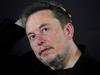 Albo’s call on Elon Musk after social fight