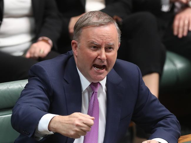 Opposition Leader Anthony Albanese during Question Time. Picture Kym Smith