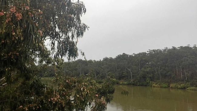 The Mary River Catchment Co-ordinating Committee wants the Federal Environment Minister to reconsider the Colton Coal Mine proposal. Picture: Carlie Walker