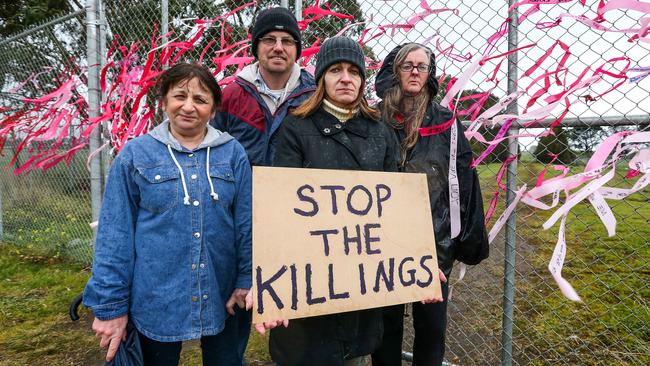 Epping locals with the support of the Australian Society for Kangaroos protest the attempted culling of 400 Epping roos earlier this year. Picture: Tim Carrafa