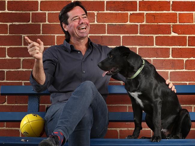 McLachlan feared for his beloved dog Walter when he ran off. Picture: Michael Klein